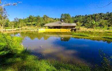 Imagem 2: Chácara com casa contendo 4 dormitórios à venda, 217800 m² por R$ 520.000 - Ribeirão Barra