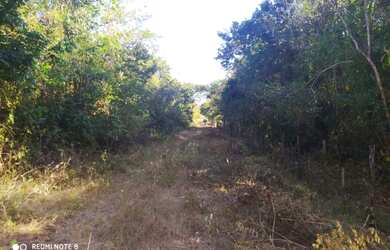 Imagem 6: Área com 13 hectares para sítios ou loteamentos, a 23 km de Teresina após o Rodoanel