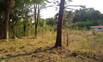 Imagem 7: Jundiaí - Terreno Padrão - Medeiros