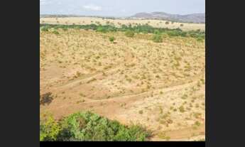 Imagem 3: Fazenda 67 Alqueires Plana 30 a 40 Alqueires de Soja. Regiao jaragua