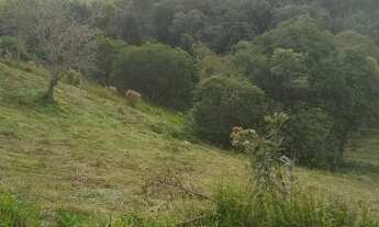 Imagem 6: Chácara formar Bugre, 1200m asfalto, 32.000m², rio/córrego, tanque e área aberta pasto, li