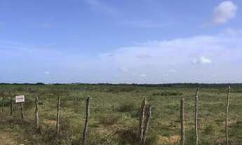 Imagem 7: Área pipa Sibauma plana limpa e com bom potencial de desmembramento