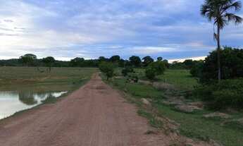 Imagem 3: Fazenda 39 alqueires Município de Varjão - GO