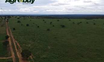 Imagem 5: Fazenda em Gurupi TO