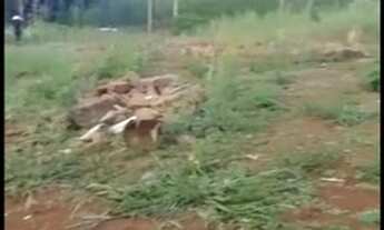 Imagem 3: Sítiozinho no alto do caraa