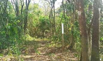 Imagem 6: Lote/Terreno para venda tem 20000 metros quadrados em Centro - Jaboticatubas - MG