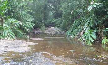 Imagem 5: Área de terra com córrego e cascata localizada em Linha Nova
