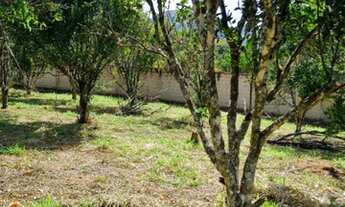 Imagem: Chácaras em Mateus Leme