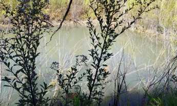 Imagem 7: Chácara no Incra 6, casa 4 Qtos, poço de pesca e árvores frutíferas