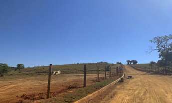 Imagem 2: Lindas Fazendinhas Premium de 20.000 m² pertinho de BH (PF36