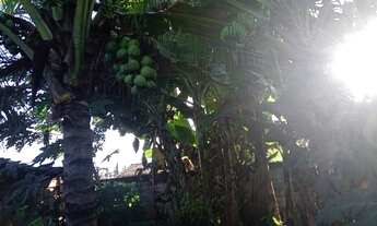 Imagem 5: Casa em Amélia Rodrigues