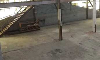 Imagem 4: Alugo galpão 900 m² ótima localização na Vila Endres!!