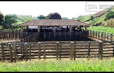 Imagem 2: FAZENDA LEITE/CORTE - MELHOR VÁRZEA DA REGIÃO - SILVEIRAS - SP