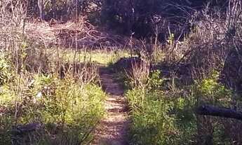 Imagem 2: Chácara de frente para o asfalto, localizada em Glorinha RS!!