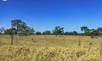 Imagem 4: FAZENDA À VENDA EM DOIS IRMÃOS - TO - 1.069,64 HECTARES (DUPLA APTIDÃO