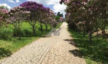 Imagem 5: Terreno - Joaquim Egídio - Campinas