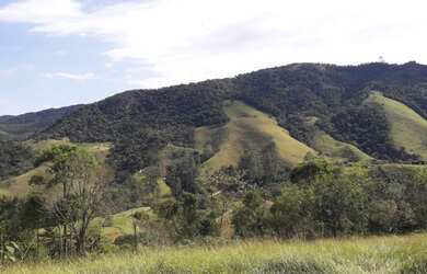 Imagem 6: Lote/Terreno para venda possui 20000 metros quadrados