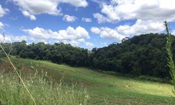 Imagem 4: Fazenda/Sítio/Chácara para venda com 36000 metros quadrados em Campo Novo - Campo Magro