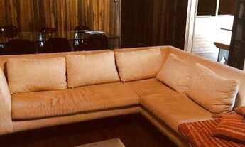 Imagem 5: Feliz entre as árvores