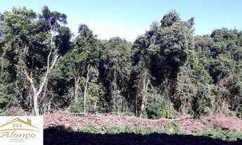 Imagem 4: Bela área de terra em Nova Petrópolis, RS Ref.:753