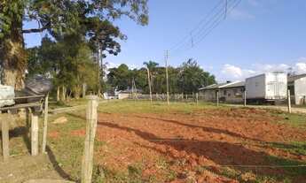 Imagem 4: SãO JOSé DOS PINHAIS - Terreno Padrão - Costeira