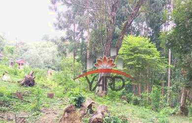 Imagem 8: Terreno à venda, 4613m² por R$ 430.000 - Campo Magro/PR