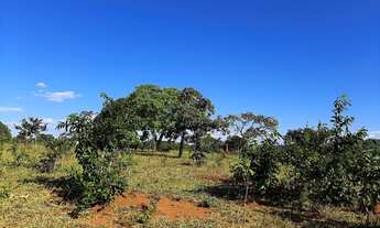 Imagem 5: 20.000m² com Rio nos fundos e terra de plantio