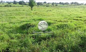 Imagem: Alto Paraíso - Sítio - 42 alqueires