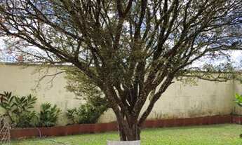 Imagem 2: Sobrado - Centro - Jacareí - 600m² - 4 Dormitórios - Aceita Permuta