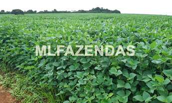 Imagem 3: Fazenda em Turvelândia MG
