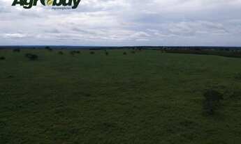 Imagem 4: Fazenda em Gurupi TO