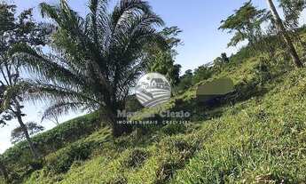 Imagem 3: Machadinho D'Oeste - Sítio - 22 alqueires