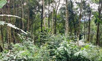 Imagem 6: Lotes condom?nio macacos