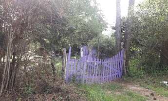 Imagem 3: Porto Alegre - Terreno Padrão - Lageado