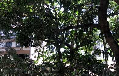 Imagem 7: Apartamento para venda tem 130 metros quadrados com 3 quartos em Laranjeiras - Rio de Jane