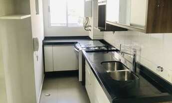 Imagem 5: COBERTURA - PERDIZES - SP