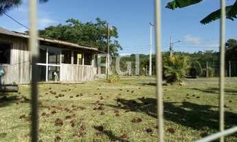 Imagem 2: Porto Alegre - Terreno Padrão - Lageado