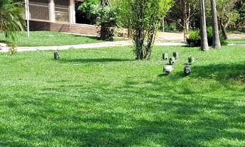 Imagem 5: Belíssima Chácara AMBEV aceita 100% de permuta