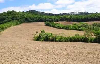 Imagem 2: 40 alqueires 30 lavoura Ivaí -PR