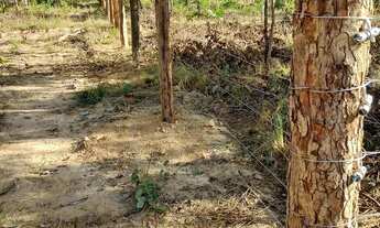 Imagem: Lote lago serra da mesa niquelandia