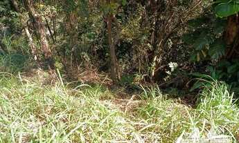 Imagem 5: Terreno Residencial- Petrópolis, Itaipava