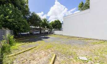 Imagem 4: Terreno em Tristeza