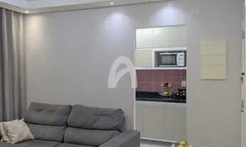 Imagem 6: Apartamento na Zona Sul | Edifício Sun Vale