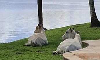 Imagem 7: Fazenda em Maragogipe com Píer