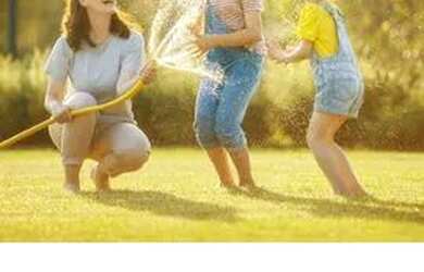 Imagem 5: FLORIANóPOLIS - Padrão - Capoeiras