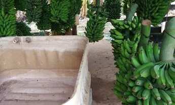 Imagem: Rancho em Delfinópolis ao Lado da Represa