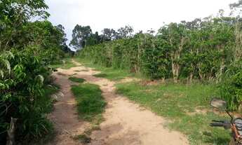 Imagem 3: SÍTIO COM CAFÉ !!!