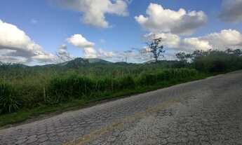 Imagem 2: Terreno à venda, 12000 m² por R$ 1.700.000,00 - Ratones - Florianópolis/SC