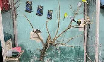 Imagem 7: Casa 3 quartos 140mt