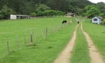 Imagem 3: Sítio para Venda - 30000m², 3 dormitórios, sendo 1 suites, Lageado